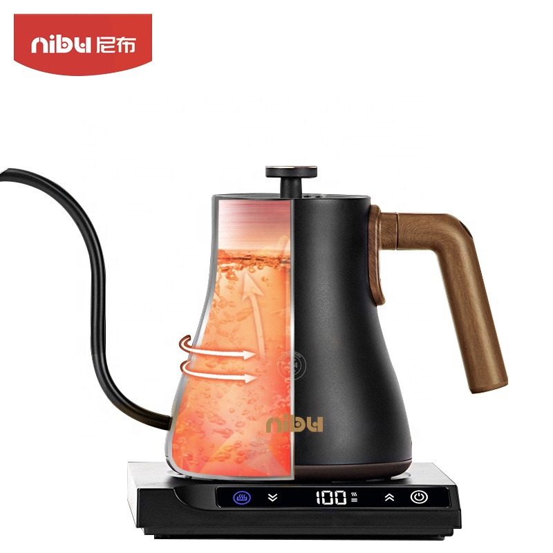 Stainless Steel Electric Kettl - Electric Kettle Temperature Control review and price